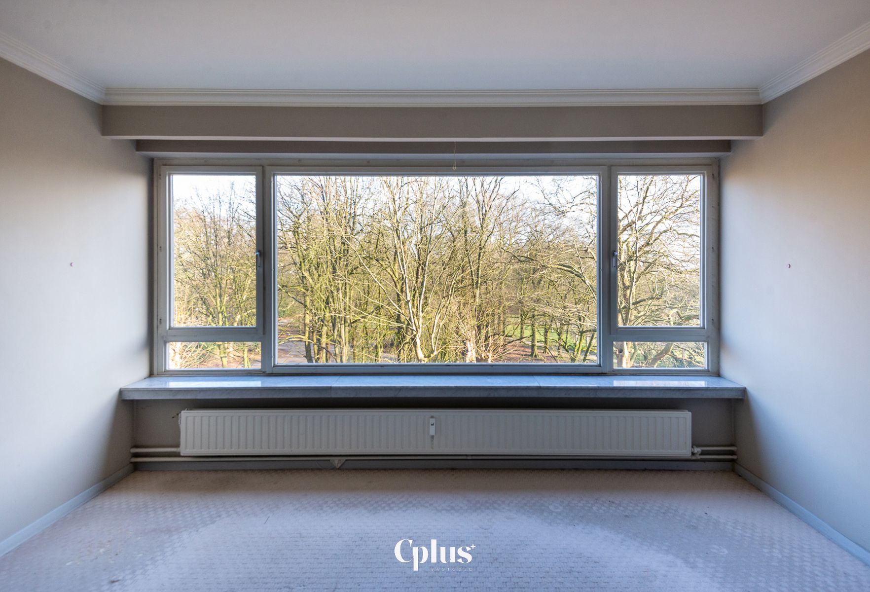Ruim appartement met uitzicht op het Citadelpark - Te koop foto 2