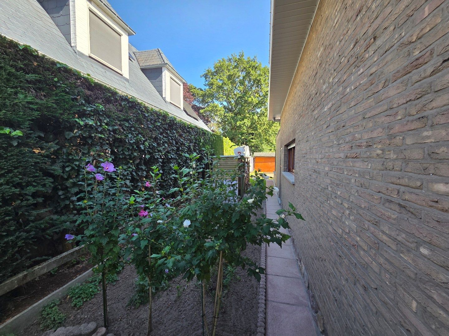 Instapklare rustig gelegen gezinswoning op een toplocatie!  foto 19