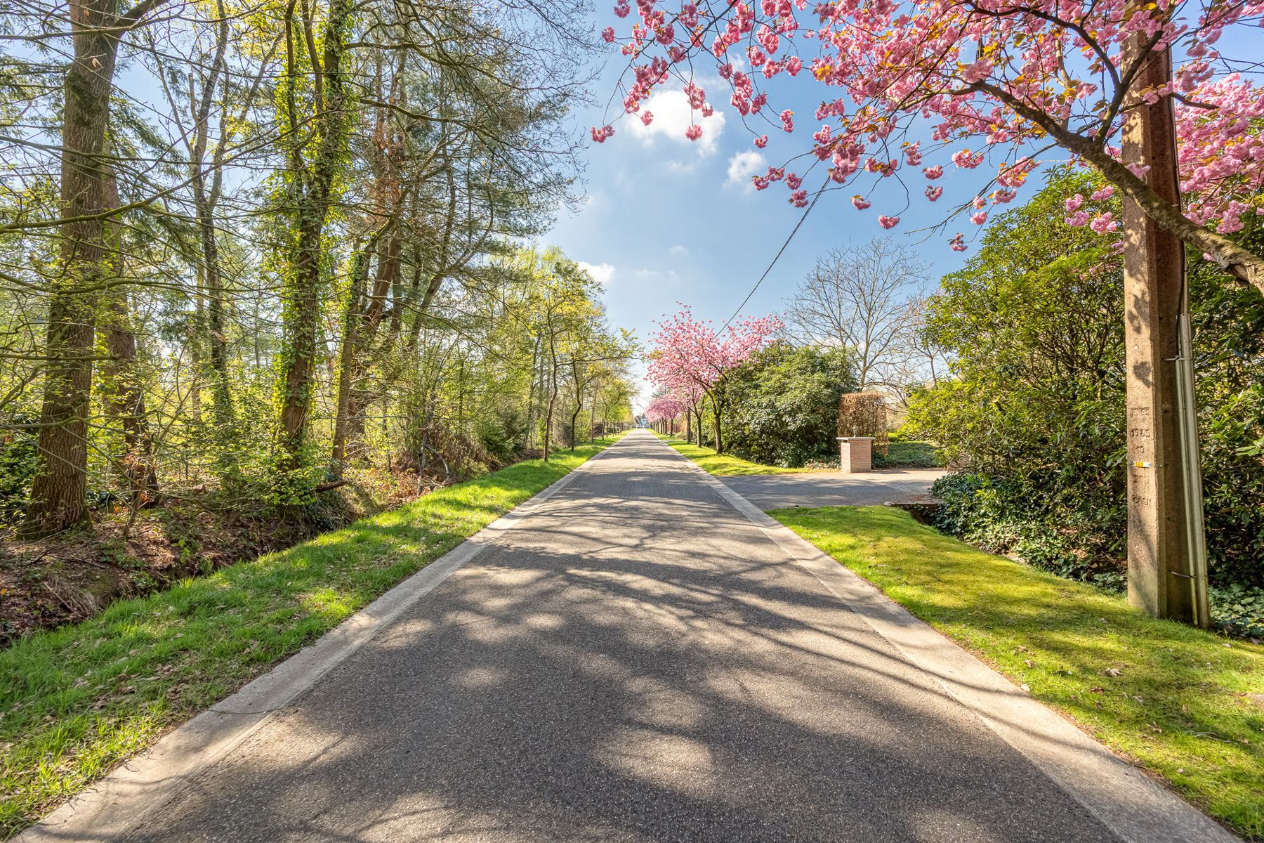 Een perceel bouwgrond voor open bebouwing van 1.109m² in een residentiële omgeving.  foto 2