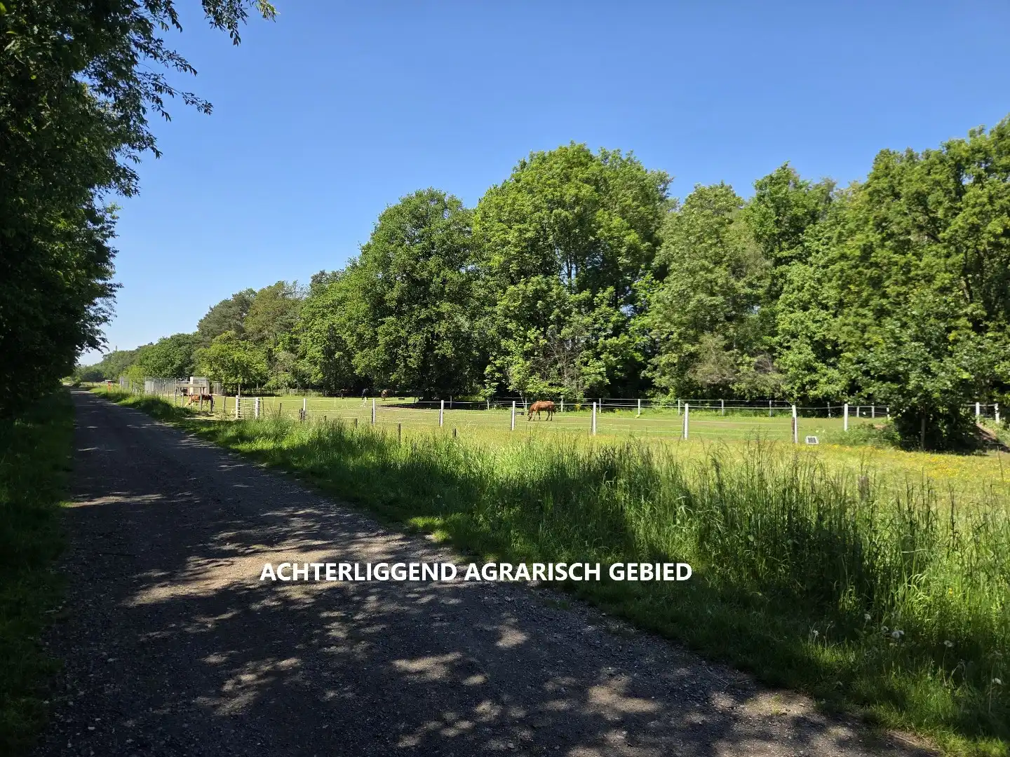 Te renoveren woning, rustig gelegen op een zonnig perceel van 767 m² te Olen-Centrum ! foto 32