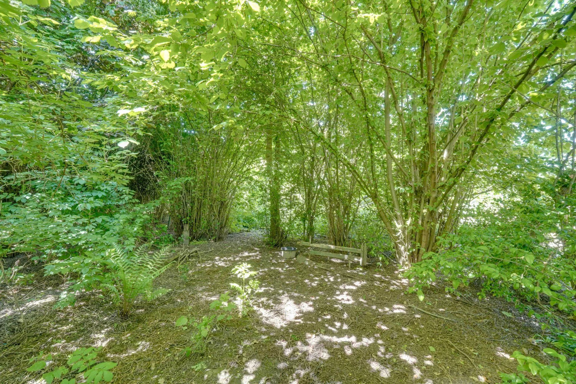 Te renoveren hoeve met binnenkoer en stallingen foto 15