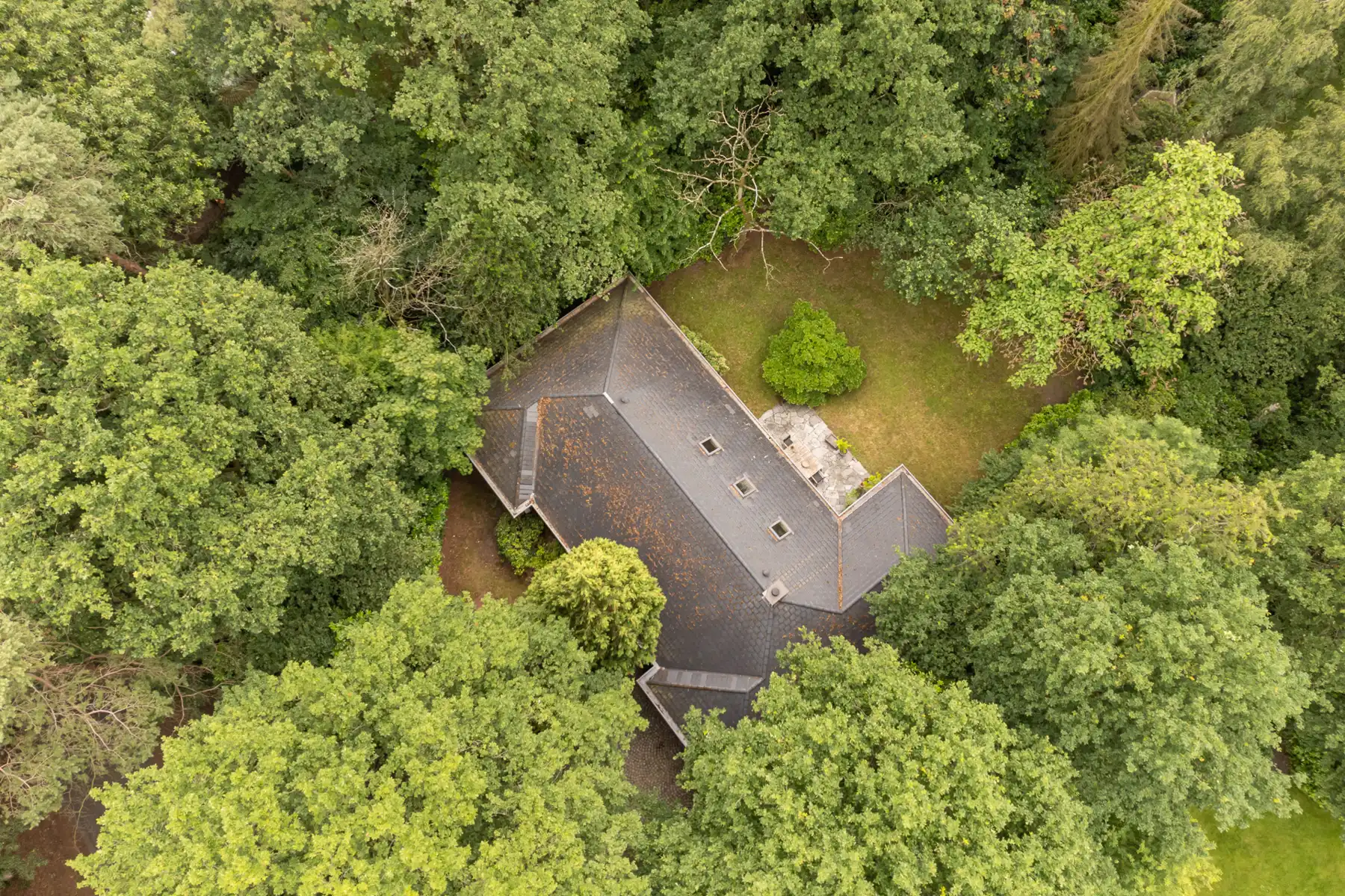 Hof Ter Linden volledig te renoveren villa op 2000 m² foto 26