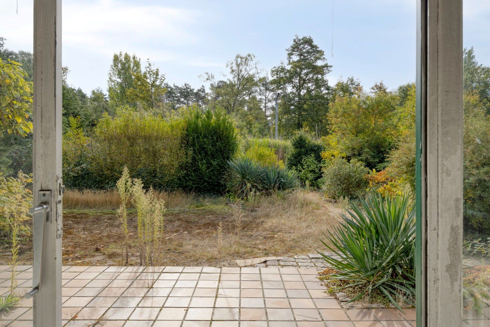 Gunstig gelegen te renoveren woning op mooi perceel van 16a07ca ! foto 26