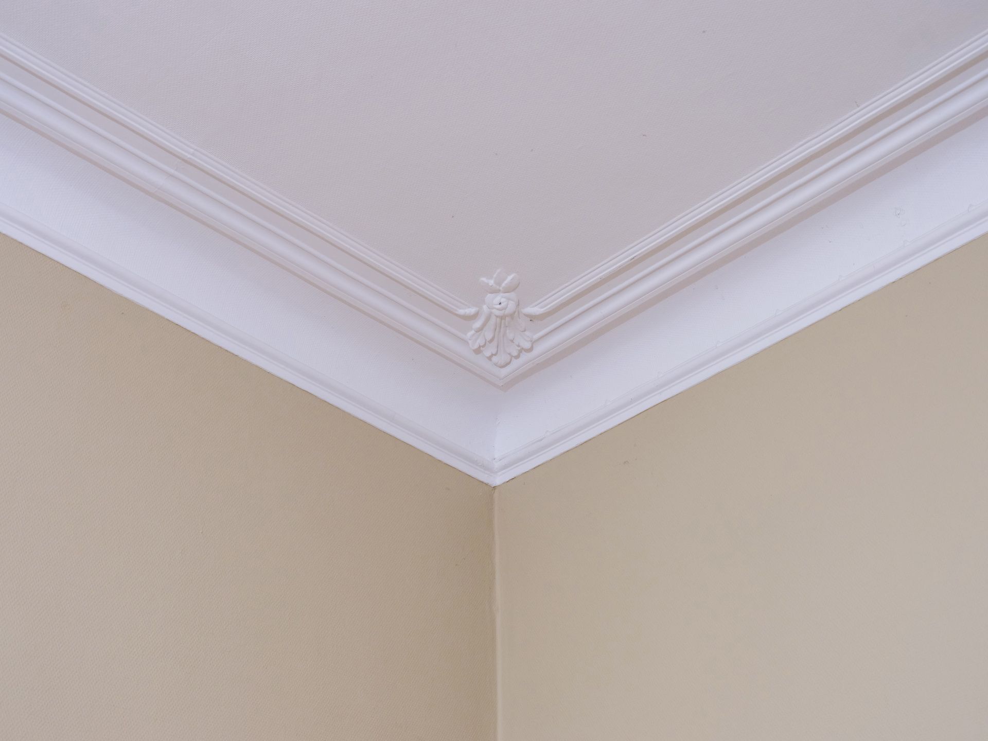 Authentieke (voormalige) pastorie op ruim perceel van 4.057 m² foto 5