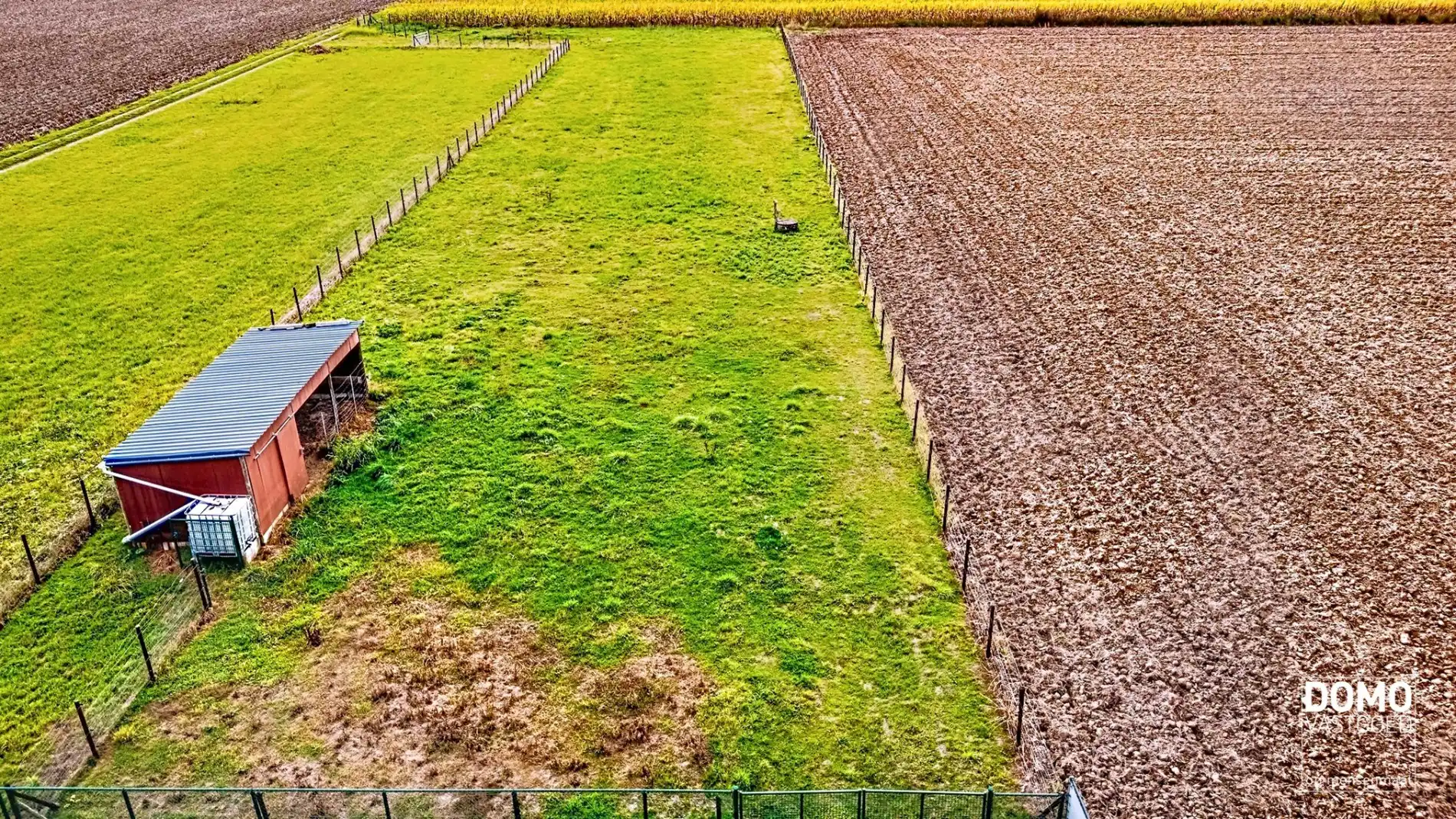 Ruime woning met weiland te koop te Alken foto 27