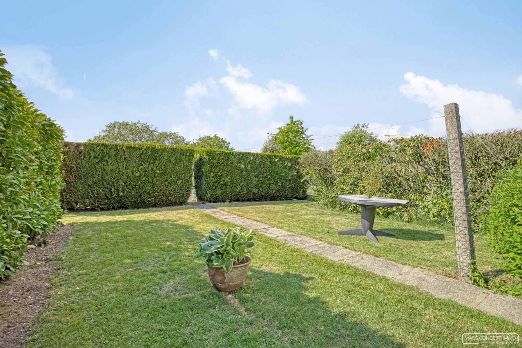 Te renoveren woning te koop te Anzegem op een perceel van 1000 m2 foto 13