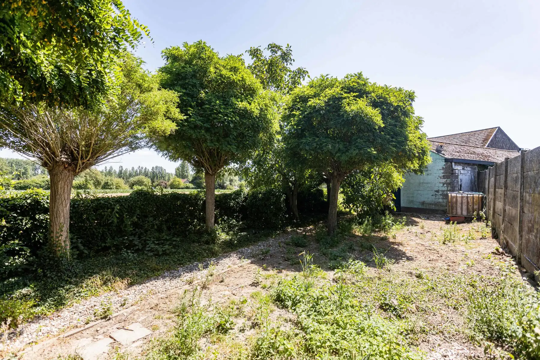 Te renoveren woning met grote tuin en atelier op toplocatie! foto 37