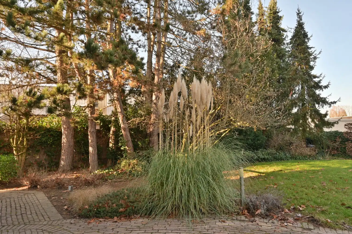 Vrijstaande woning op idyllische dreef, aan de rand van het bos – vlak bij Maastricht foto 19