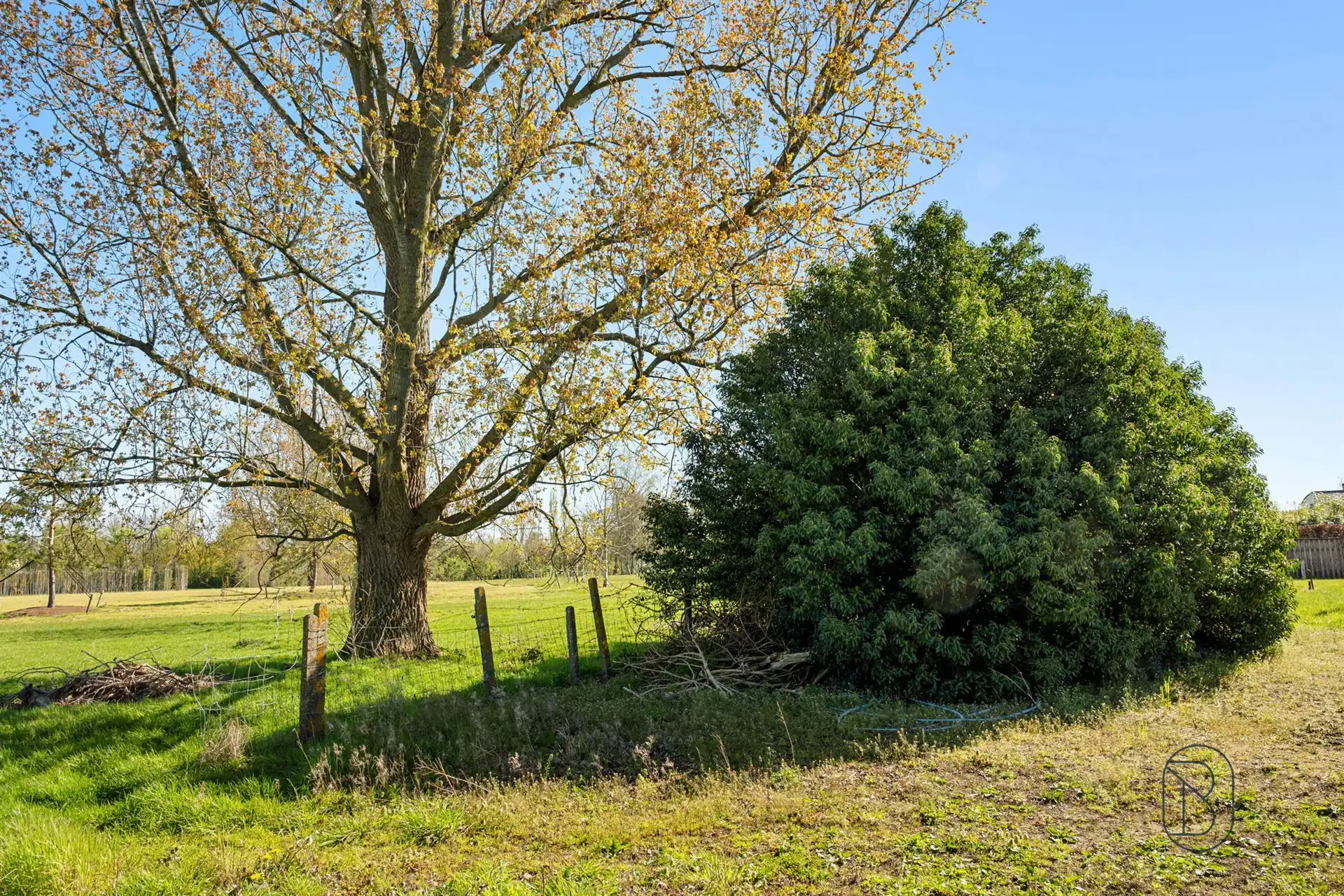 3 ruime villaloten te koop in Anzegem, met mogelijk 6% btw foto 9