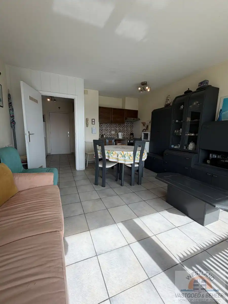 Ruime studio met zicht op de duinen foto 4