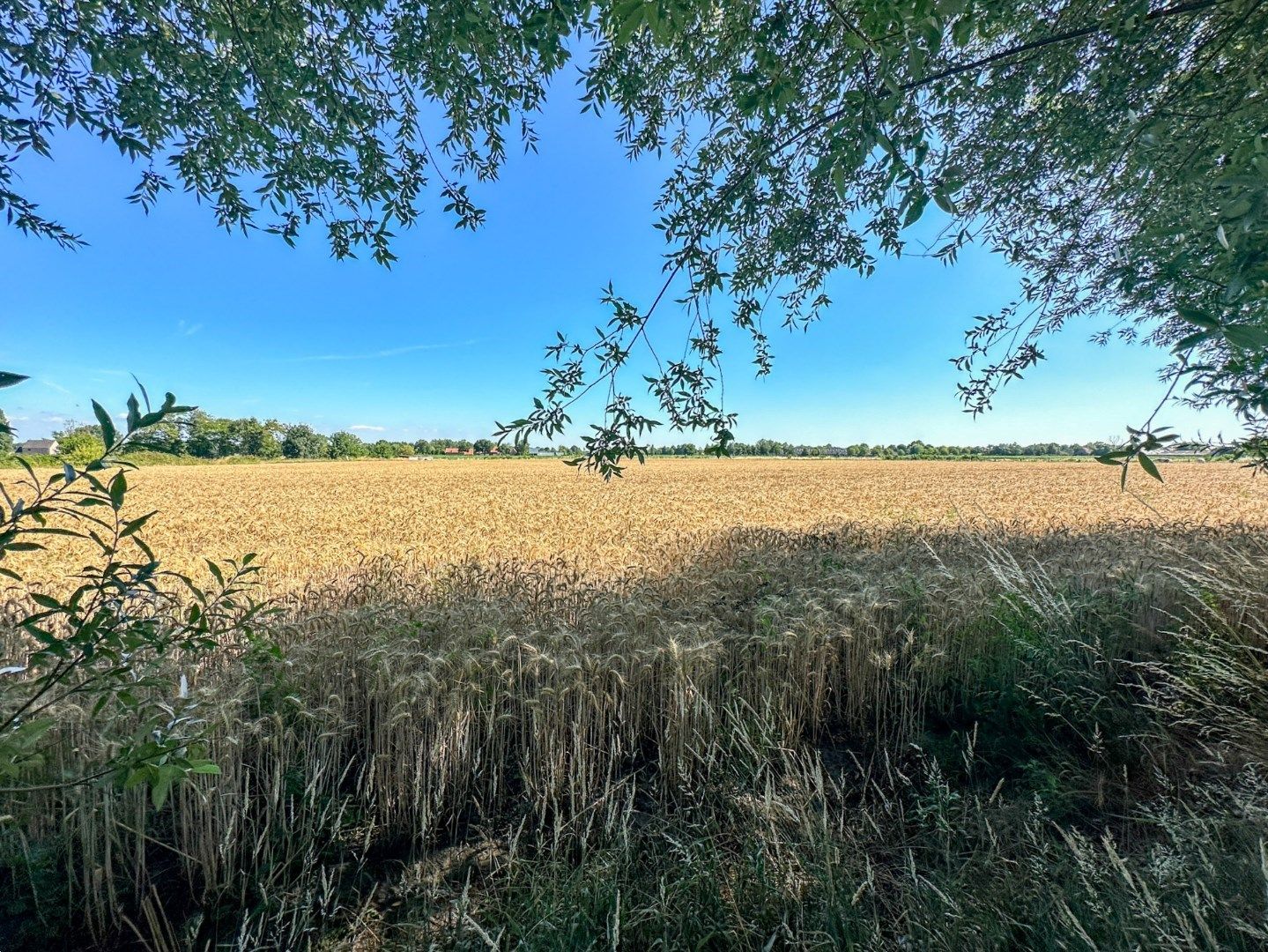 Hoofdfoto van de publicatie: Hoevewoning met weilanden, te renoveren, unieke ligging in Torhout, vlak bij Groenhovebos