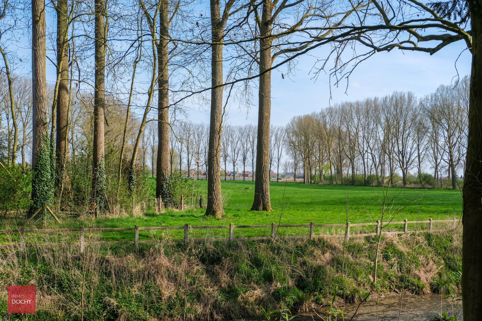 Karaktervolle herenvilla op ca 7.800m² palend aan oude Scheldearm foto 12