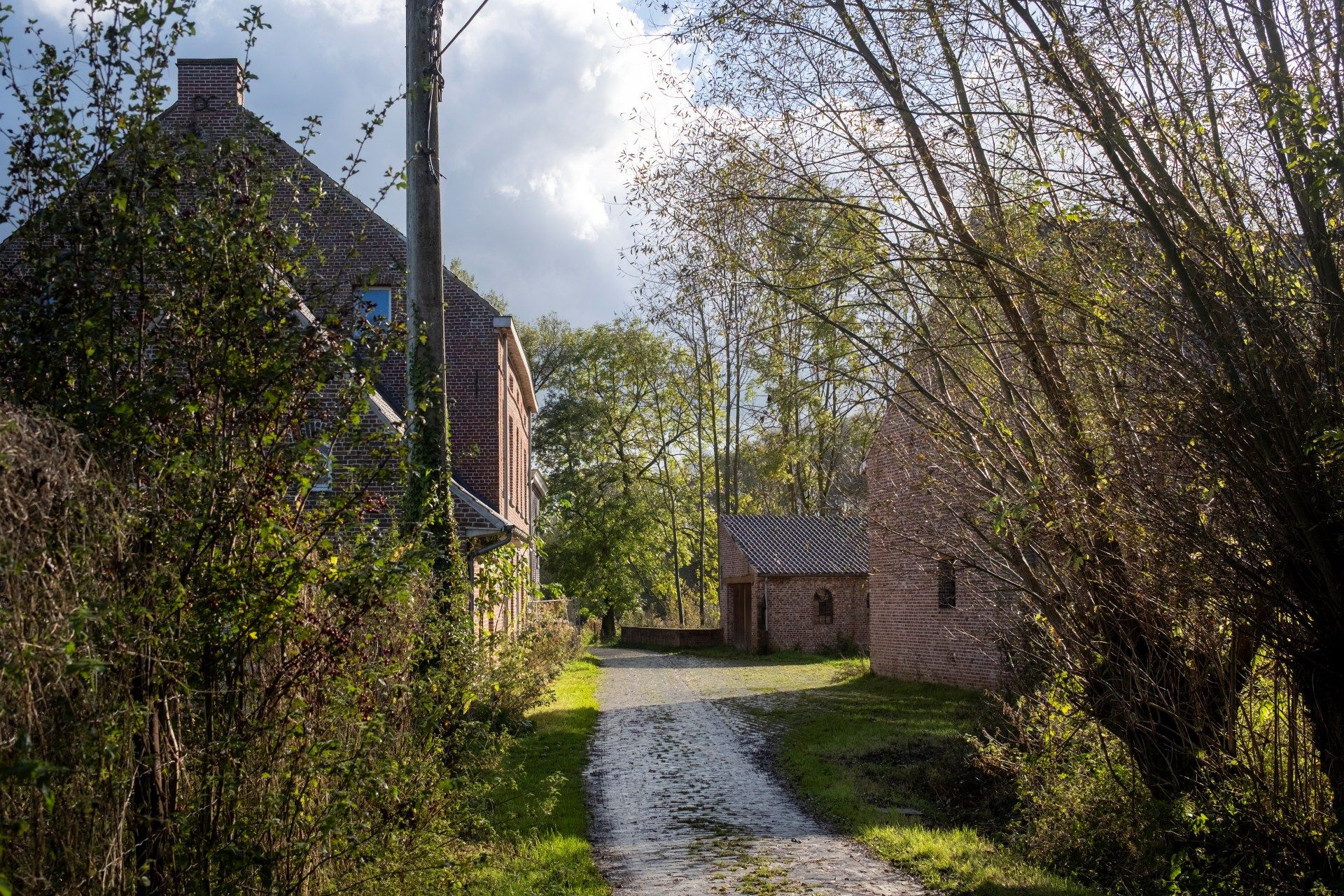 Monumentale Engelsmolen te koop op 3,4 hectare en verschillende mogelijkheden foto 7