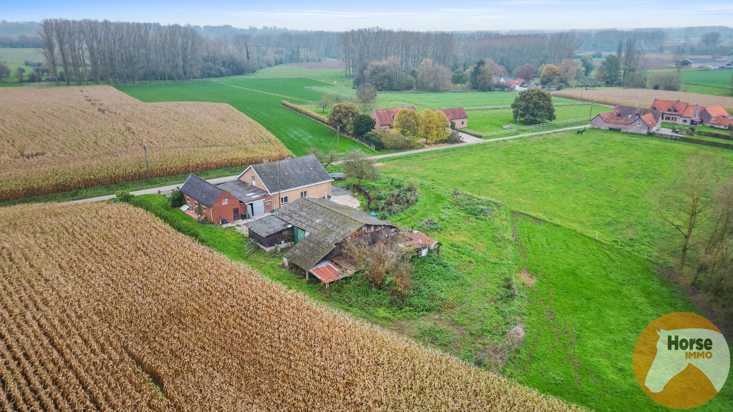 HERZELE - Uniek gelegen woning op +/-2HA foto 22