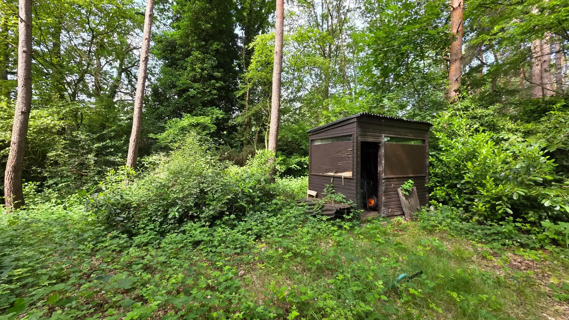 Rustig gelegen perceel bosgrond van 4.056 m² in groene omgeving te Tremelo foto 5