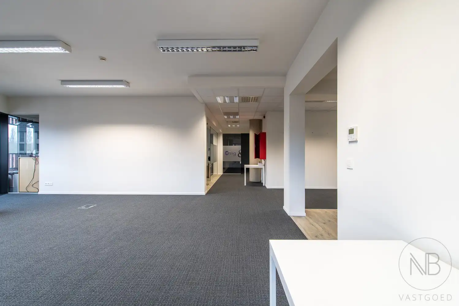 Flexibele Vastgoedoportuniteit: Investeren of Zelf Gebruiken in het Botta-gebouw foto 24