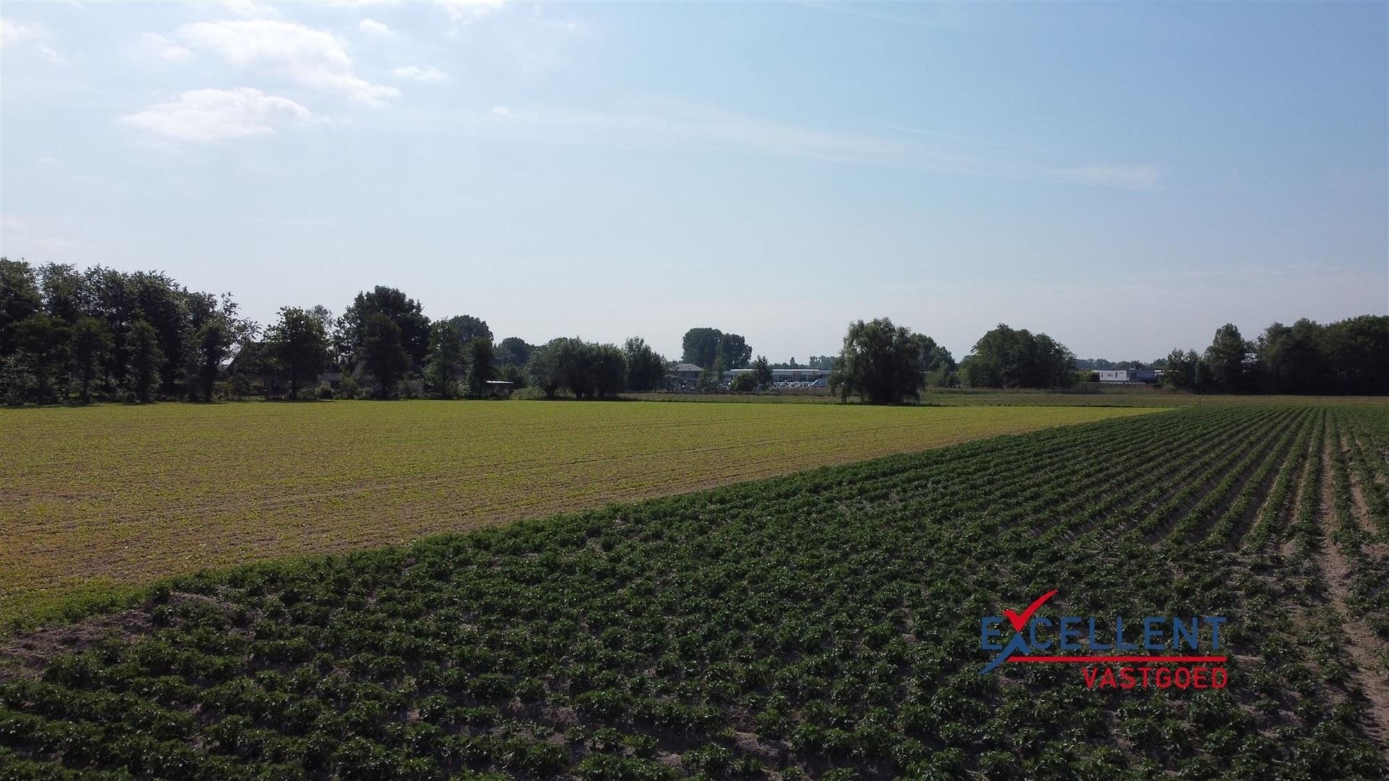Landbouwgrond te koop te Machelen (Zulte) foto 10
