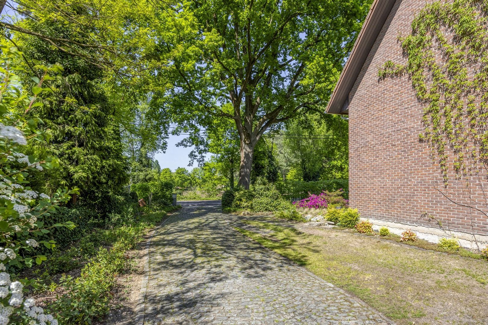 TE KOOP: Riante villa met zorgwoning te Bolderberg! foto 17