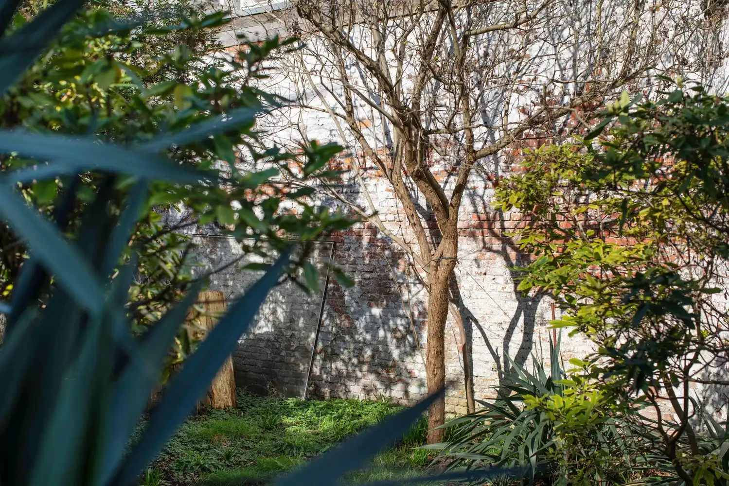 Gerenoveerd herenhuis met 4 slaapkamers en heerlijke tuin in Zurenborg foto 36