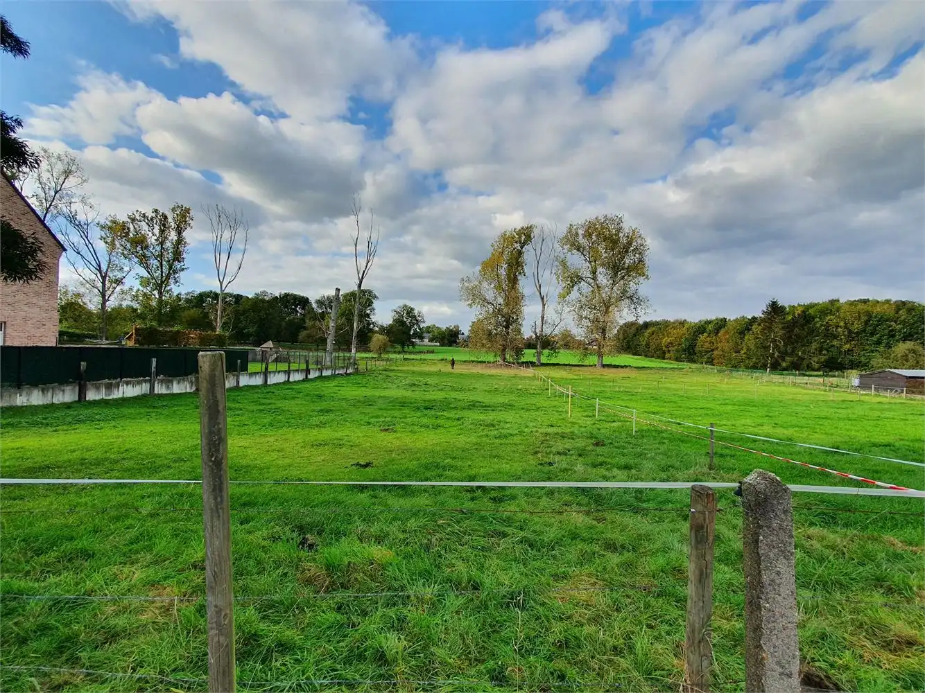 OB met zeer ruim terrein foto 4