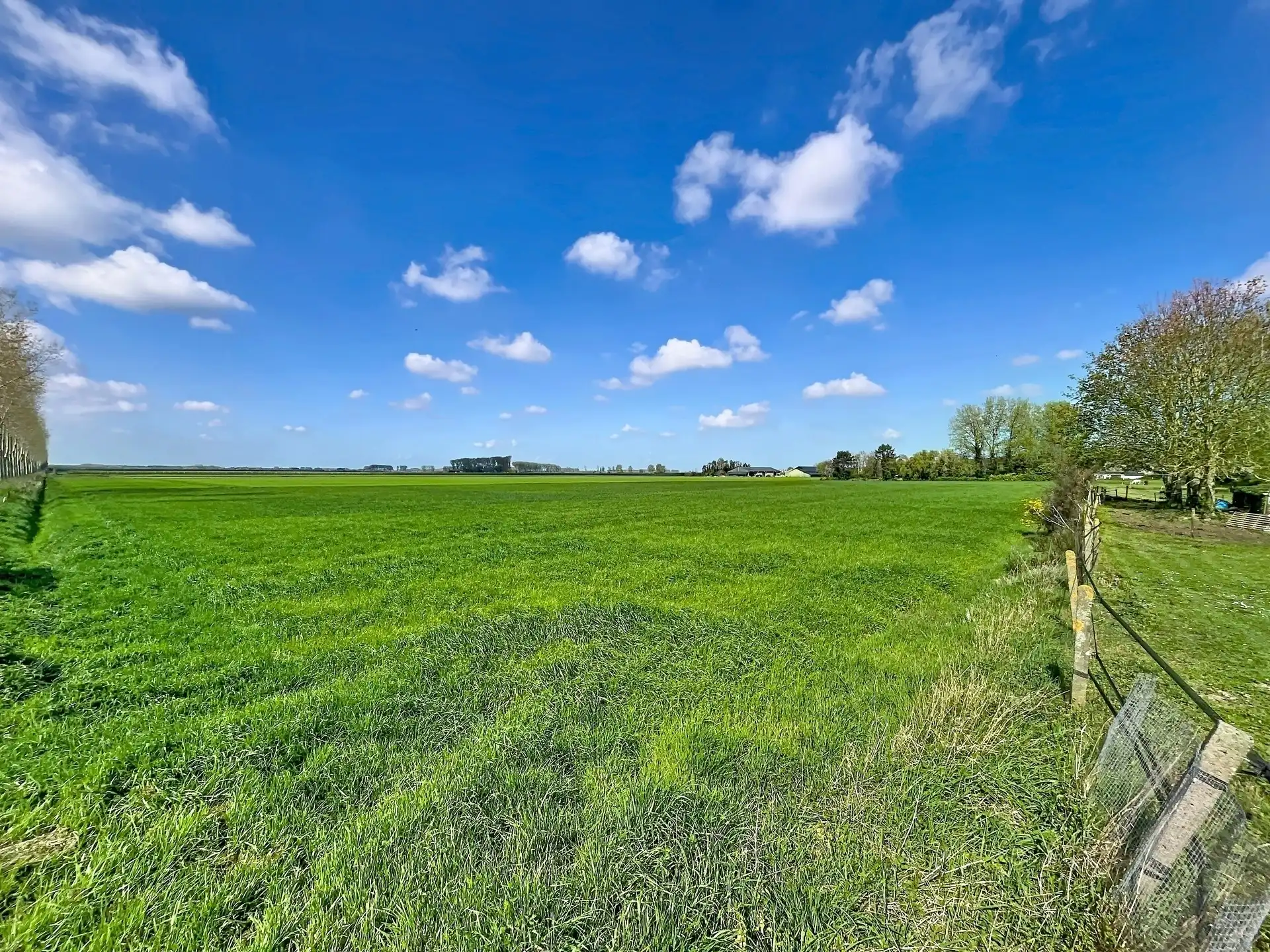 open bebouwing met 4 slaapkamers en 2 badkamers op toplocatie op perceel van 746m². foto 7