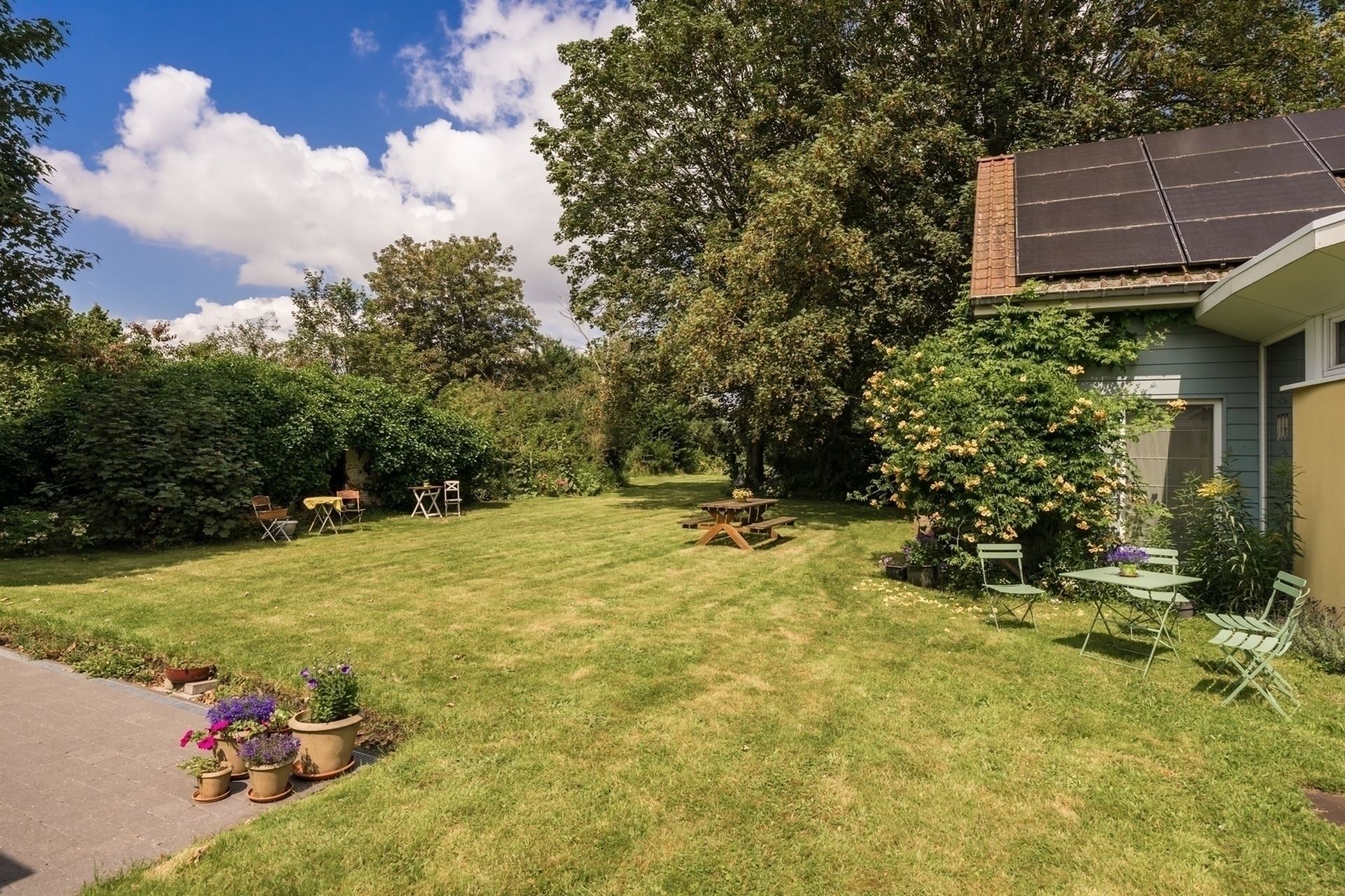 Ruime villa met extra woonhuis/praktijk op 4853m²! foto 16