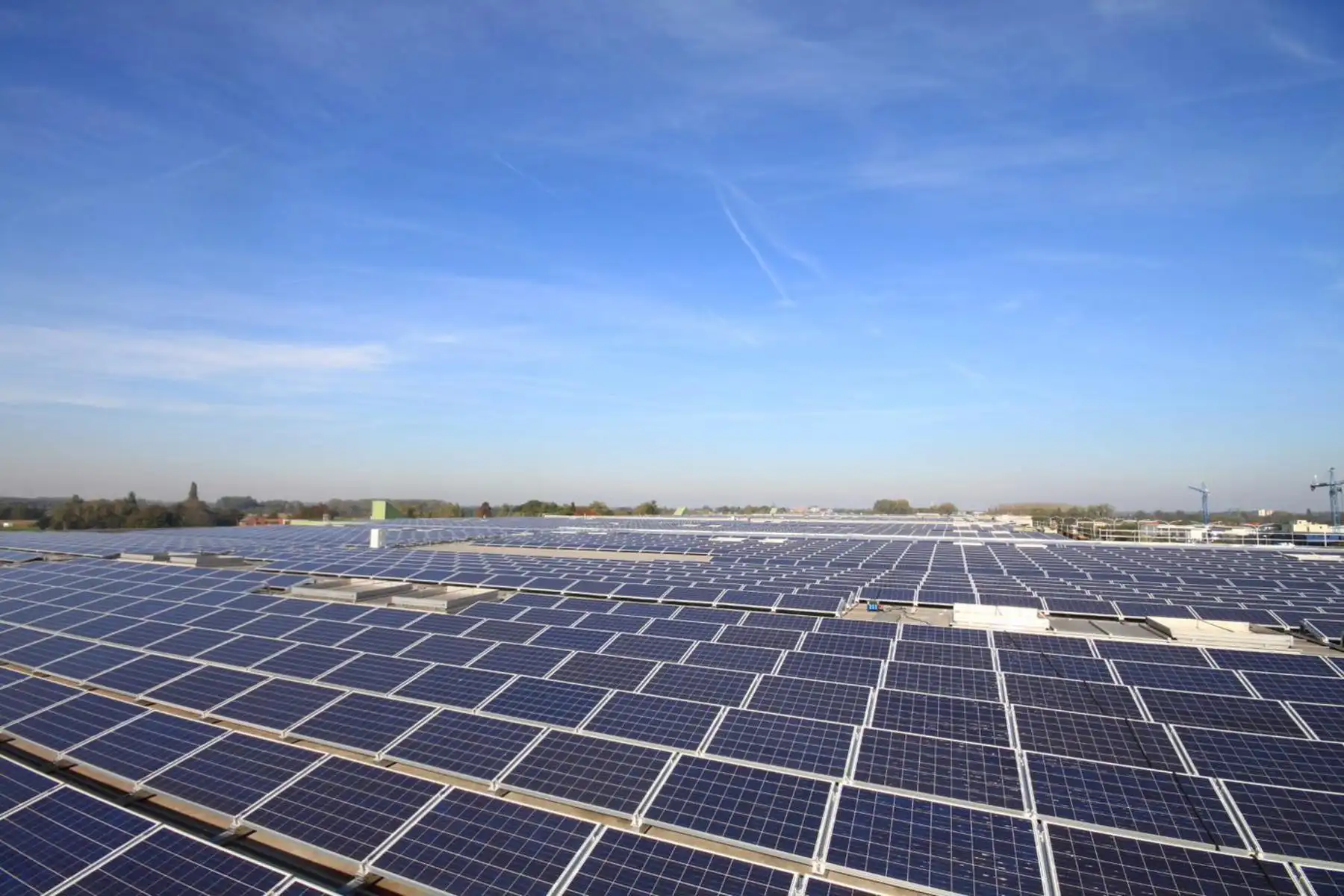 Industrieel gebouw op toplocatie in Puurs te huur foto 5