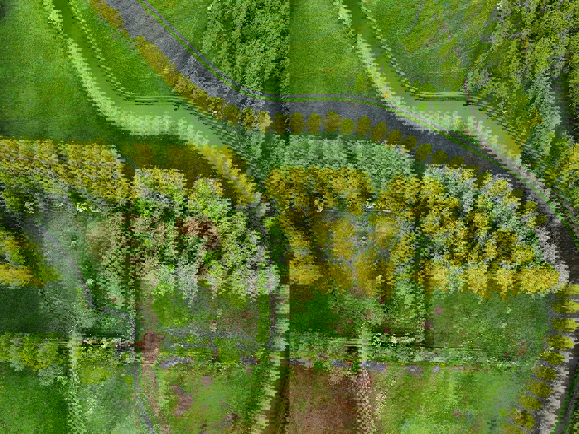 Natuurgebied te koop te Appelterre-Eichem (Ninove) foto 2