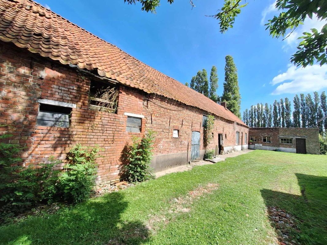 Mooi gelegen hoeve op 1,45 ha te koop te Veldegem foto 4