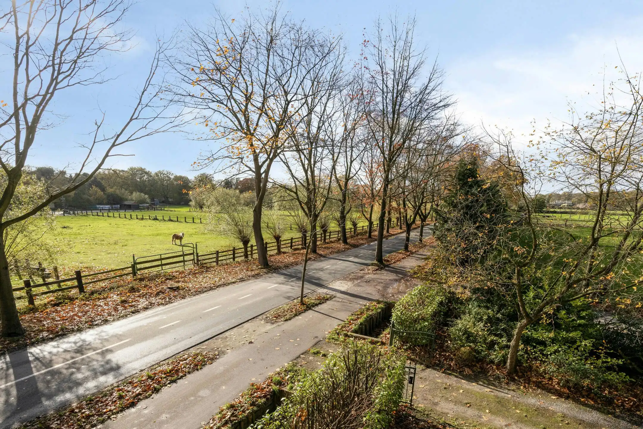 Charmant huis te koop in Putte-Kapellen met grote tuin foto 25