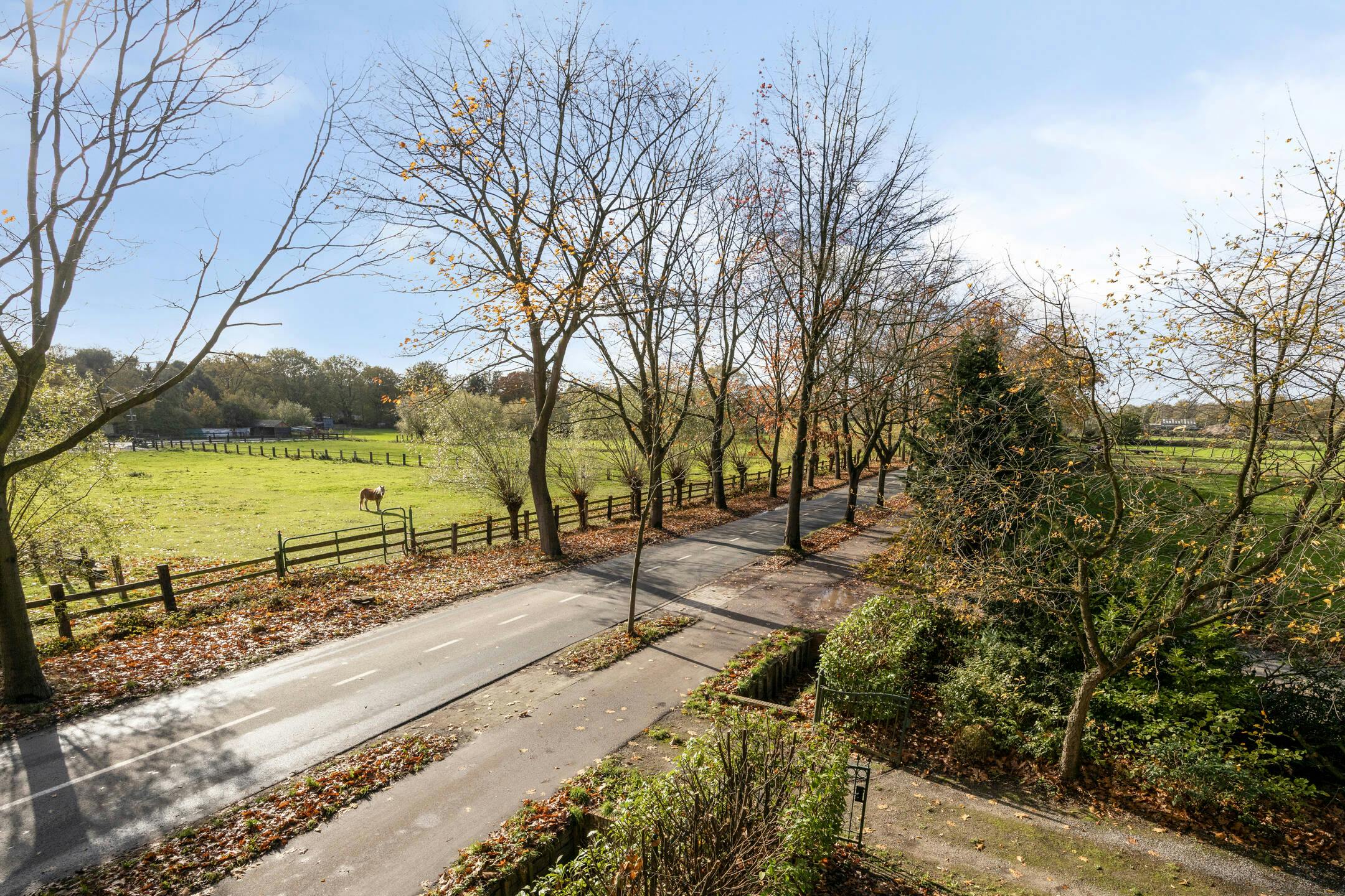 Charmant huis te koop in Putte-Kapellen met grote tuin foto 25