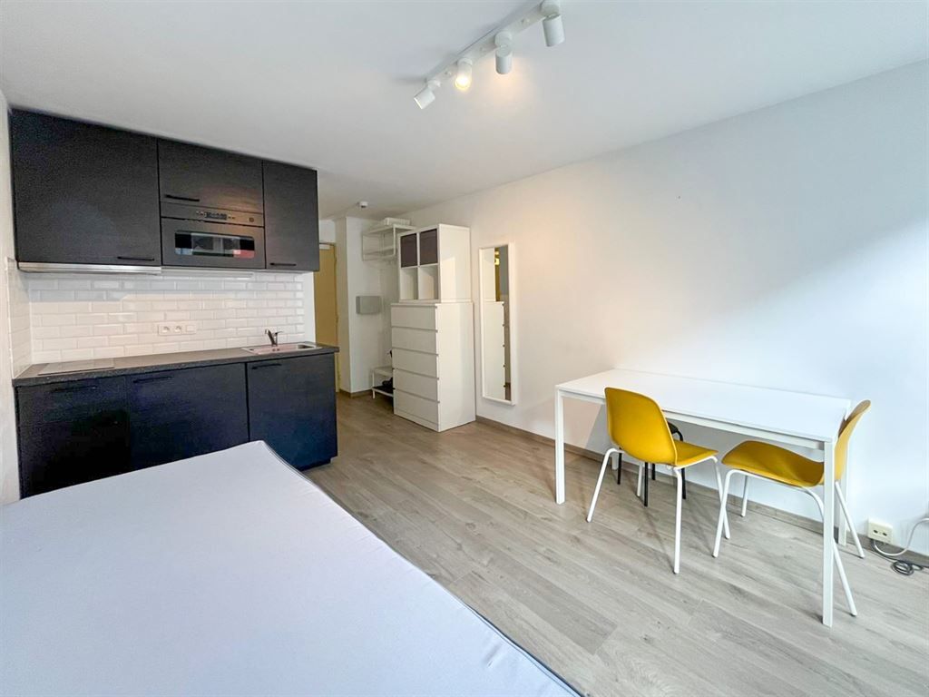 Recent gerenoveerde studio in Leuven-centrum! foto 4