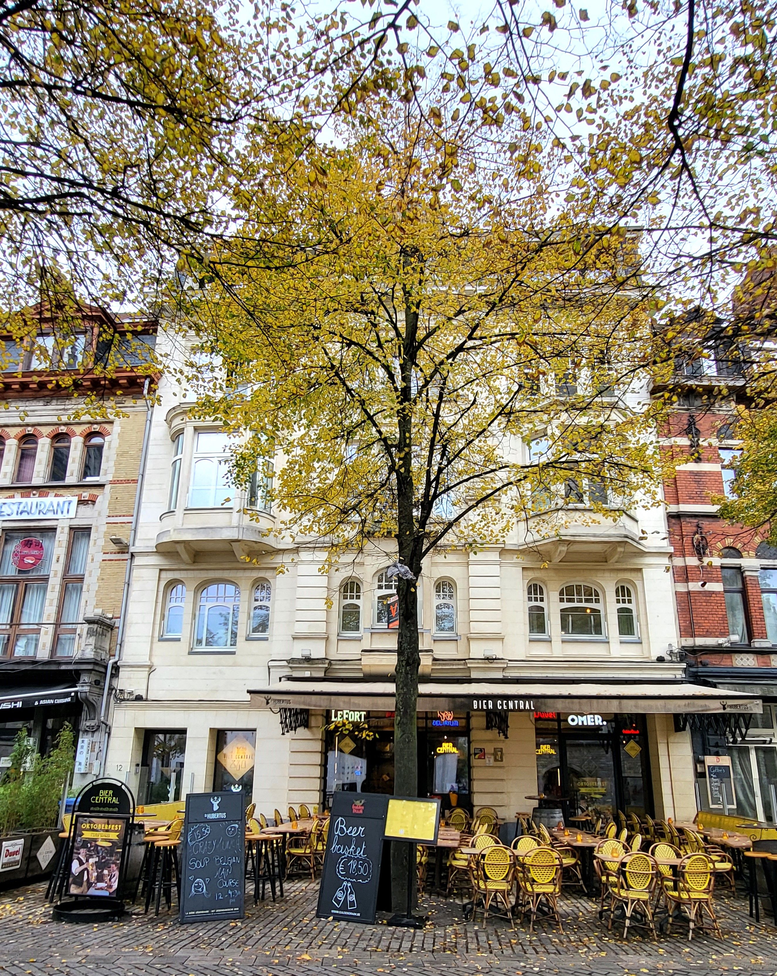 Prachtig energiezuinig appartement met 2 slaapkamers en zonnig terras, in het centrum van de Stad Gent! foto {{pictureIndex}}