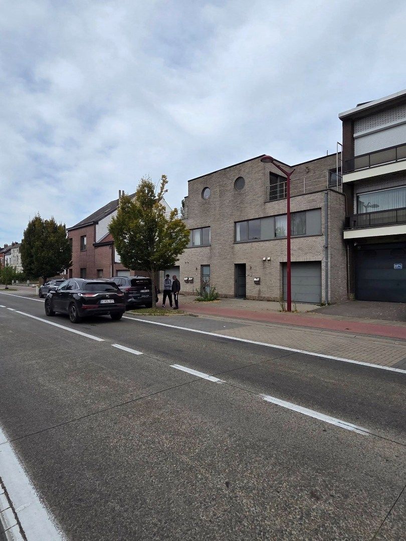 Hier zie je ze vliegen 😊  foto 19