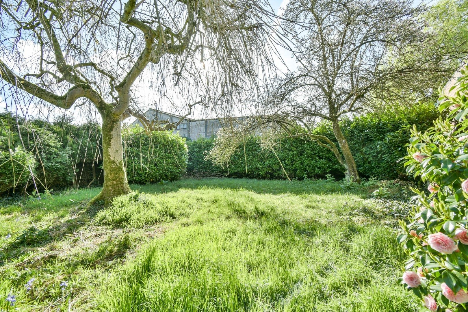 Toplocatie voor een groepspraktijk of vrij Beroepen! foto 12