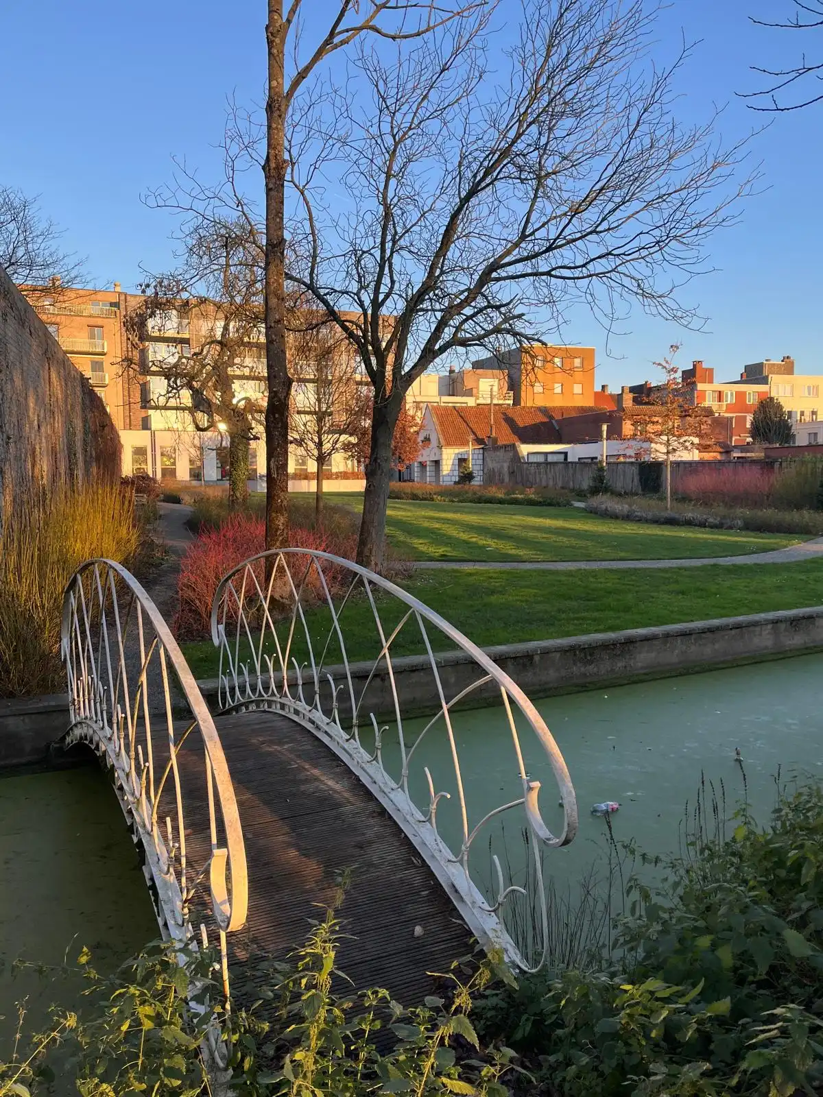 TE HUUR, Deinze, Markt foto 17