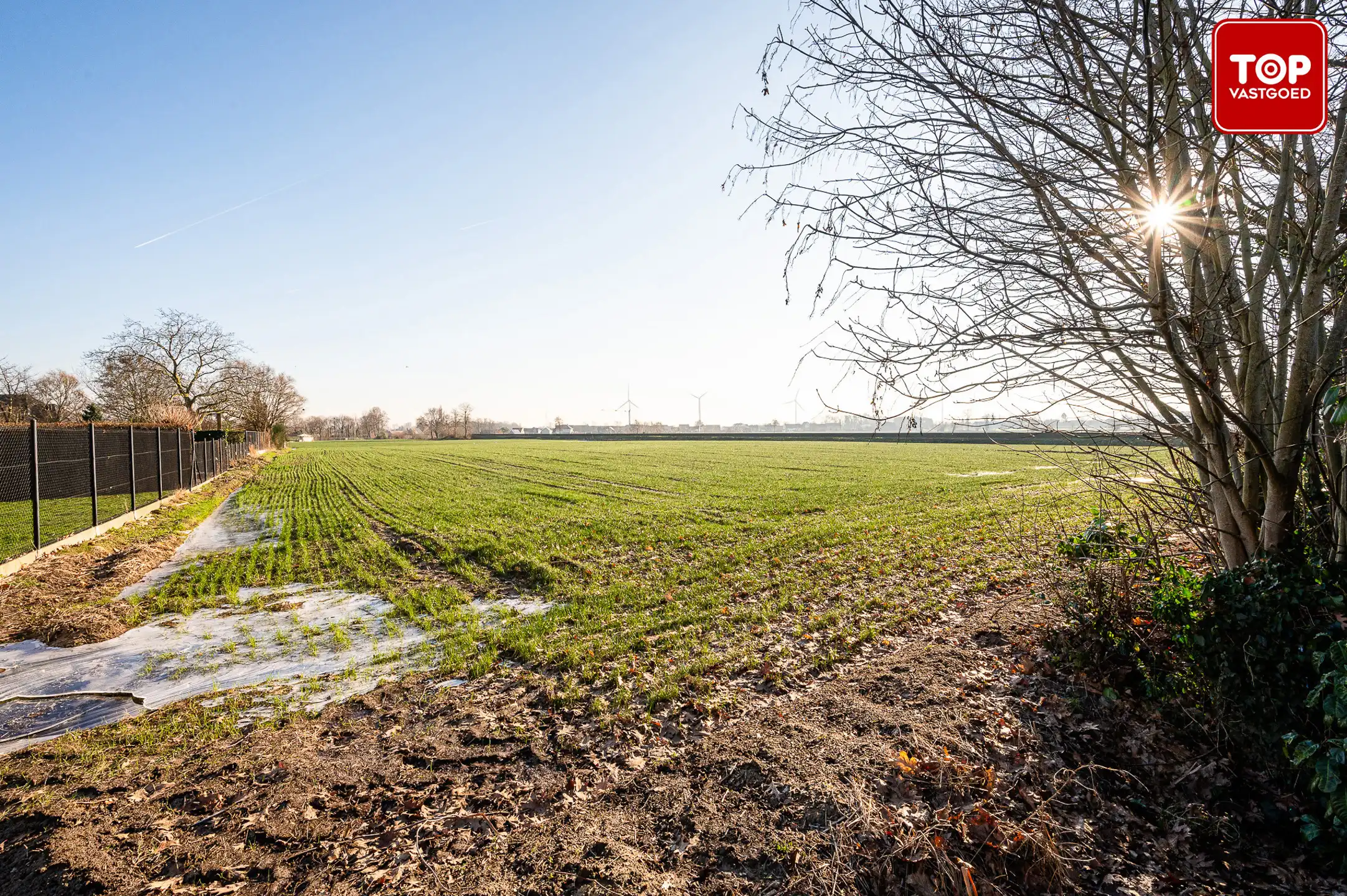 Moderne energiezuinige villa in Evergem foto 29
