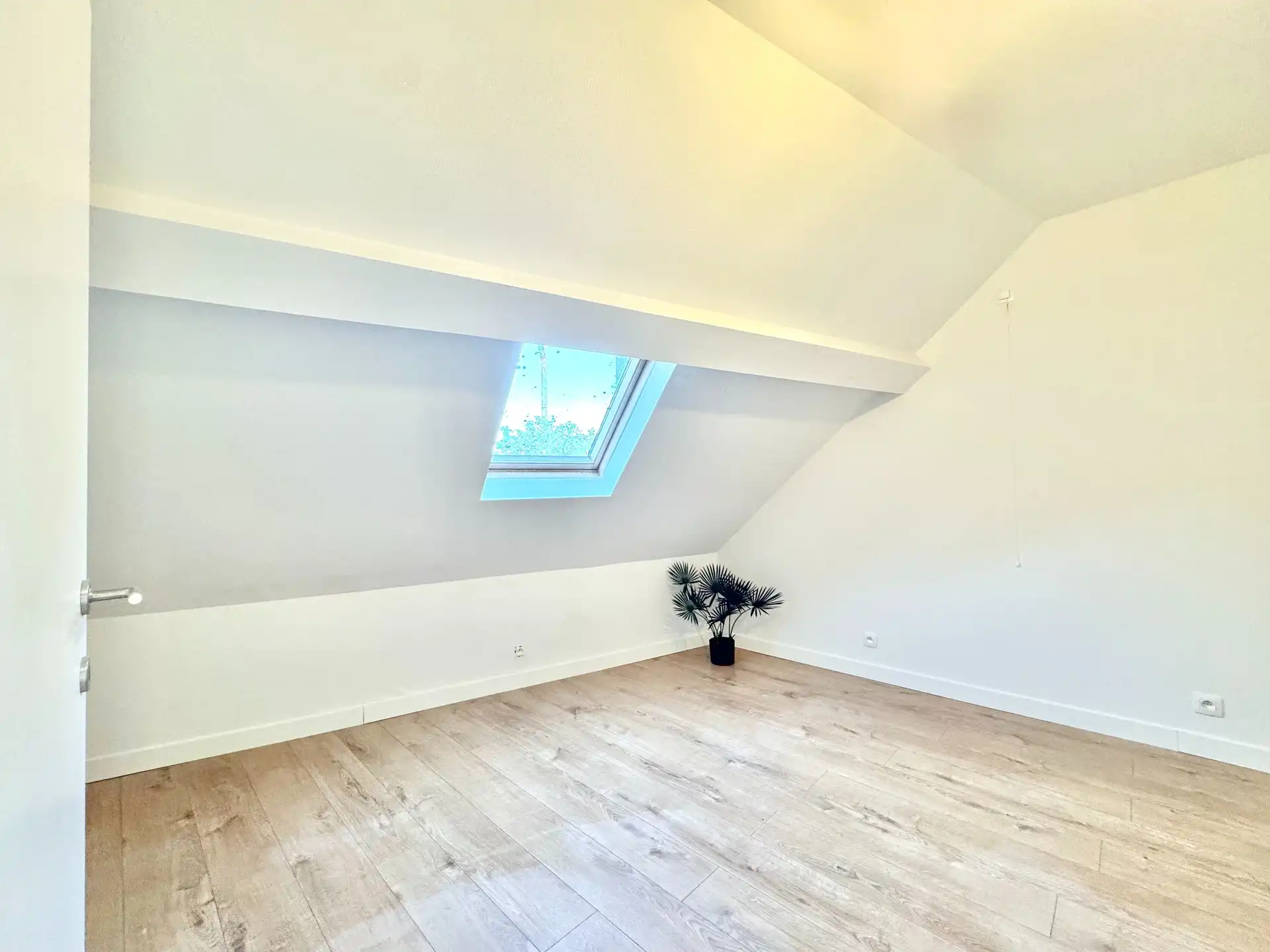 VOLLEDIG GERONOVEERDE WONING | 3 KAMERS | EPC B foto 24