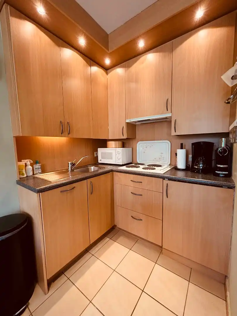 Volwaardig ruim appartement op voetstap van de zeelijn foto 4