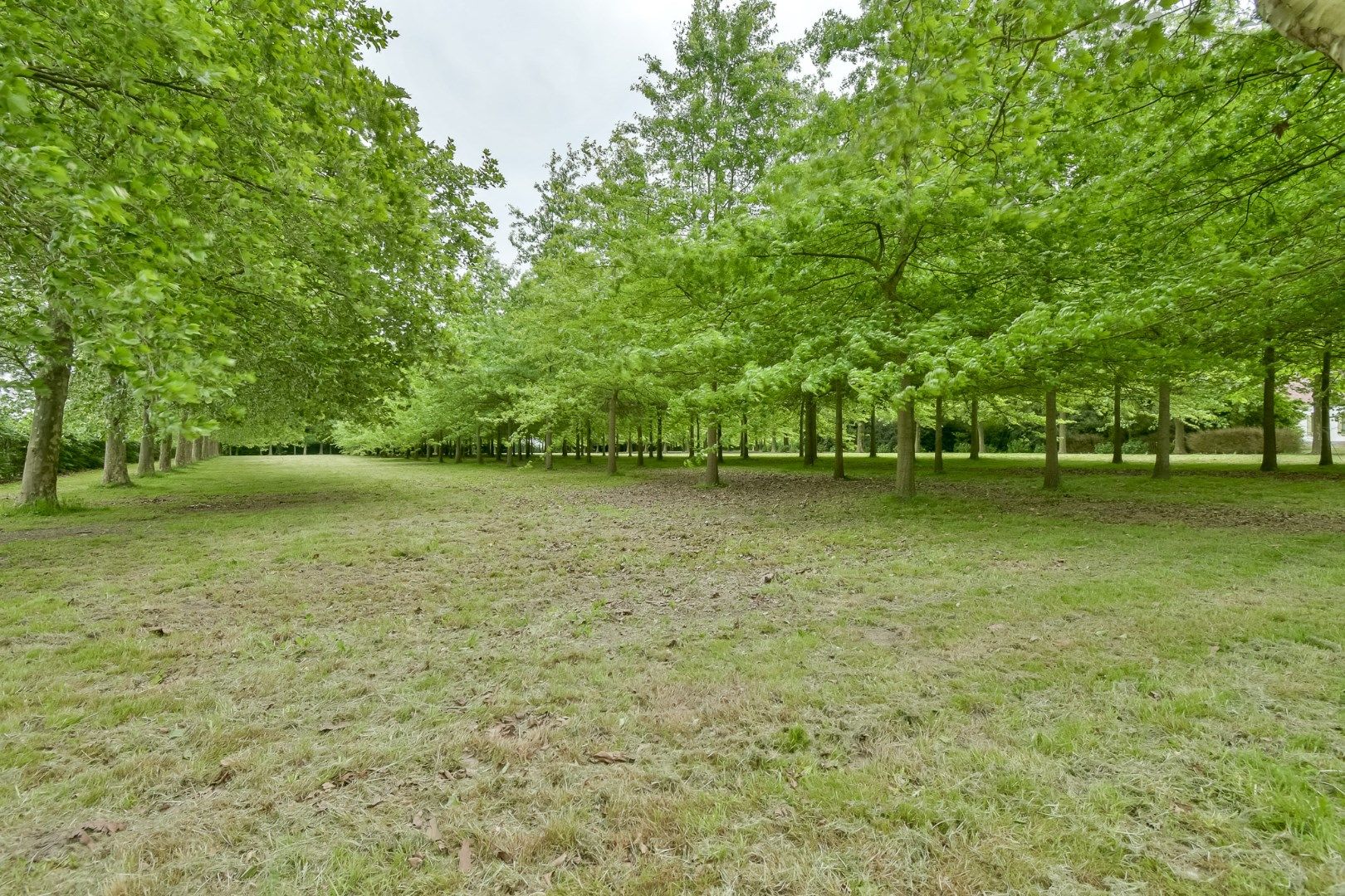 Exclusief domein op unieke locatie in Dentergem! foto 30