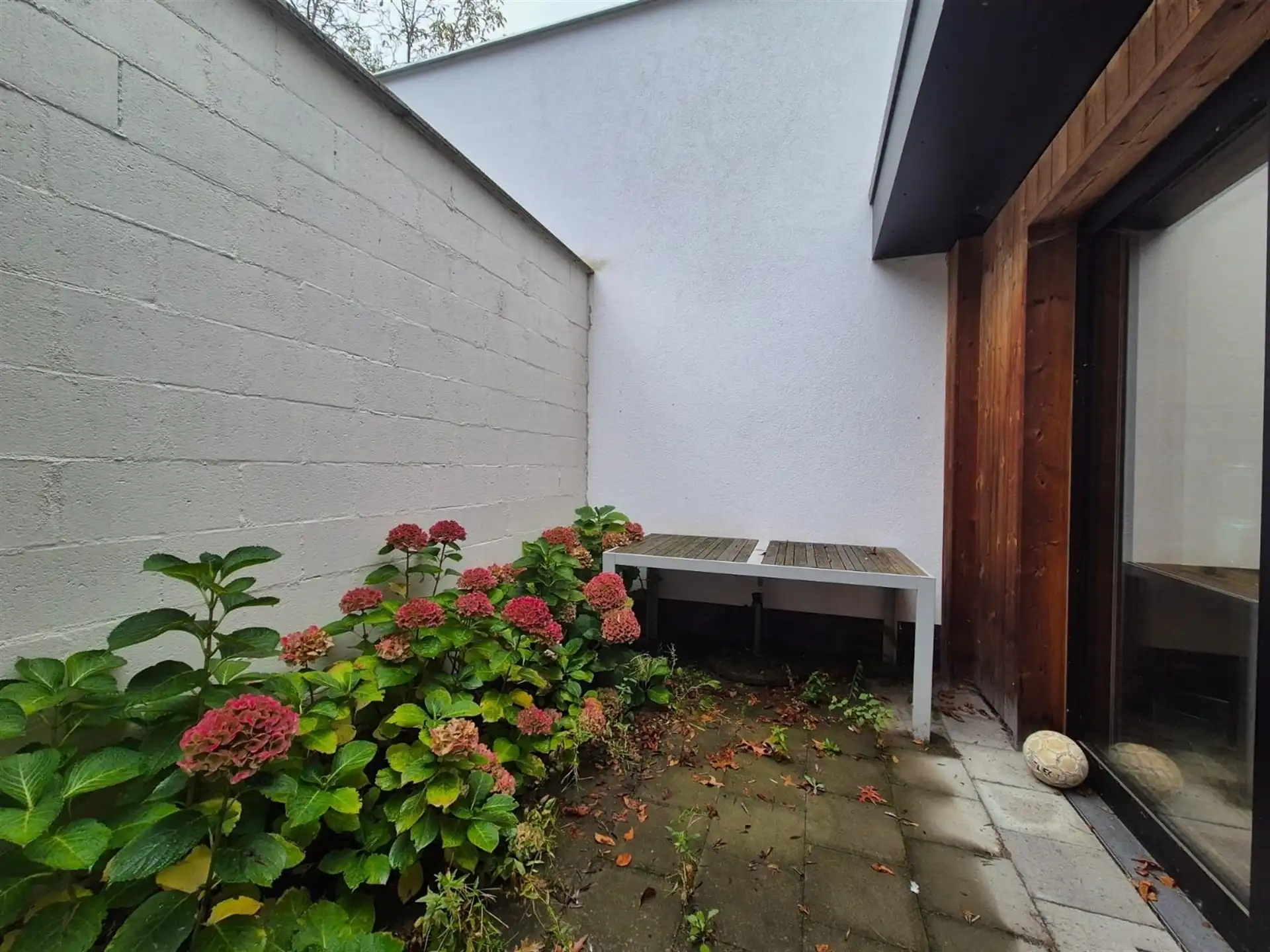 Gelijkvloerse kantoorruimte met kelder en terras. foto 17