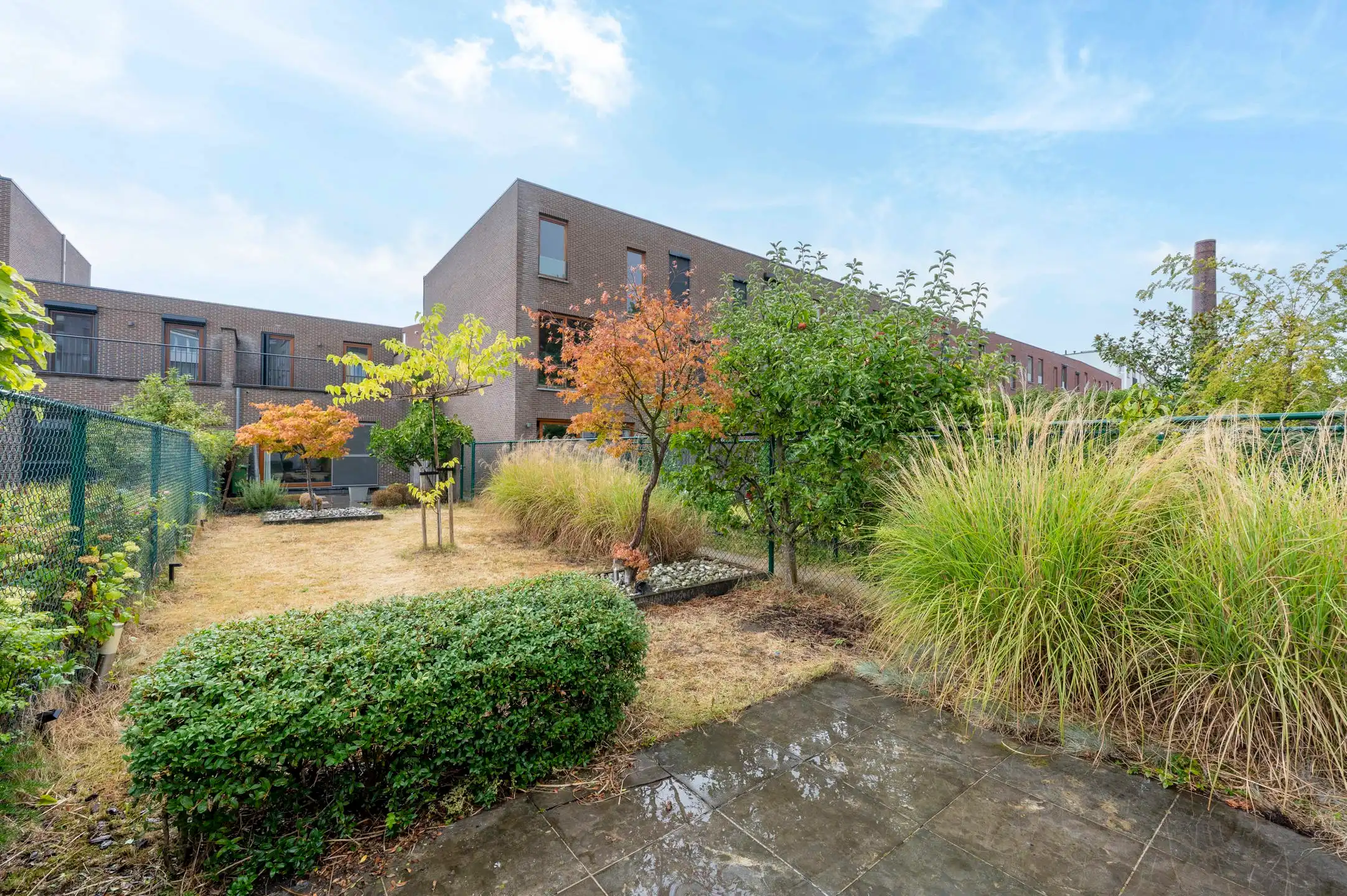 Charmante halfopen bebouwing met 3 slaapkamers en grote zonnige tuin in Antwerpen centrum foto {{pictureIndex}}