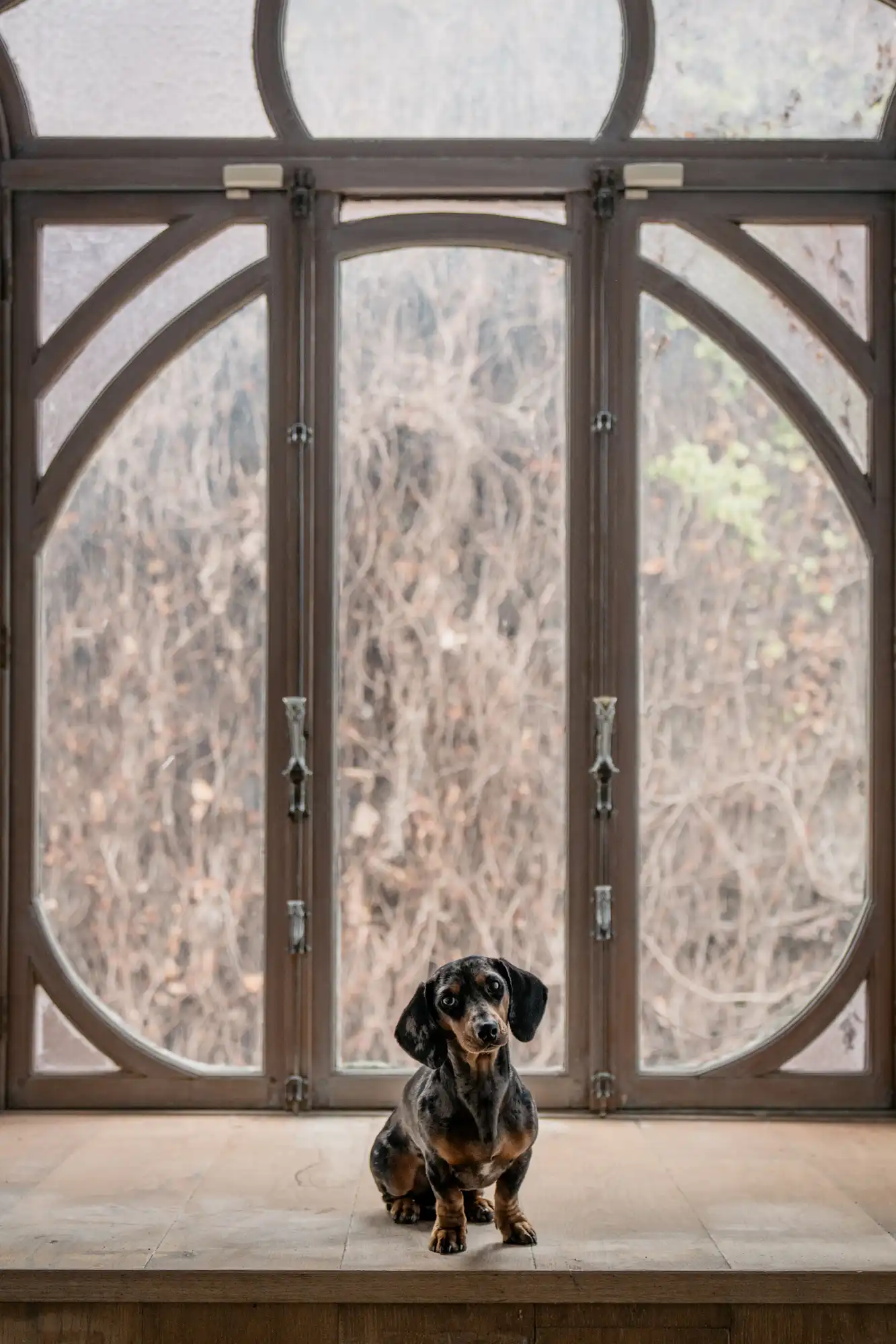 Statige meesterwoning ‘Cornelis’ in de Harmoniewijk: waar art nouveau meets art dogo foto 10