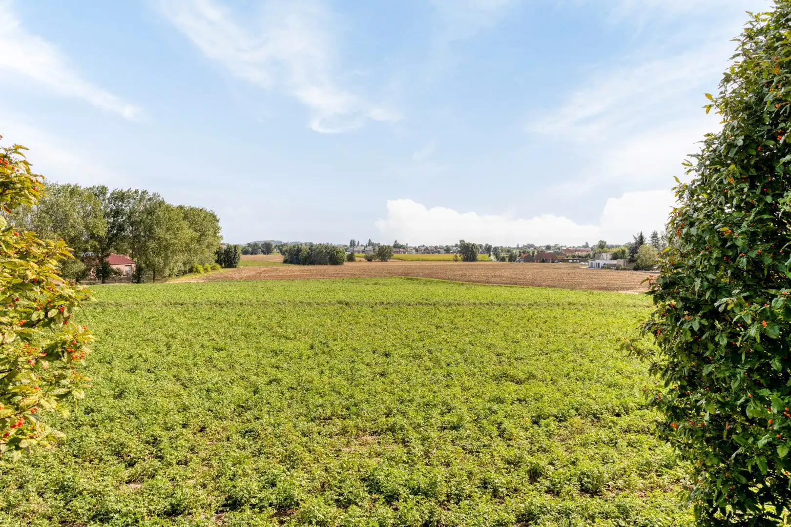 Degelijke villa in rustige buurt op 750 m²! foto 24