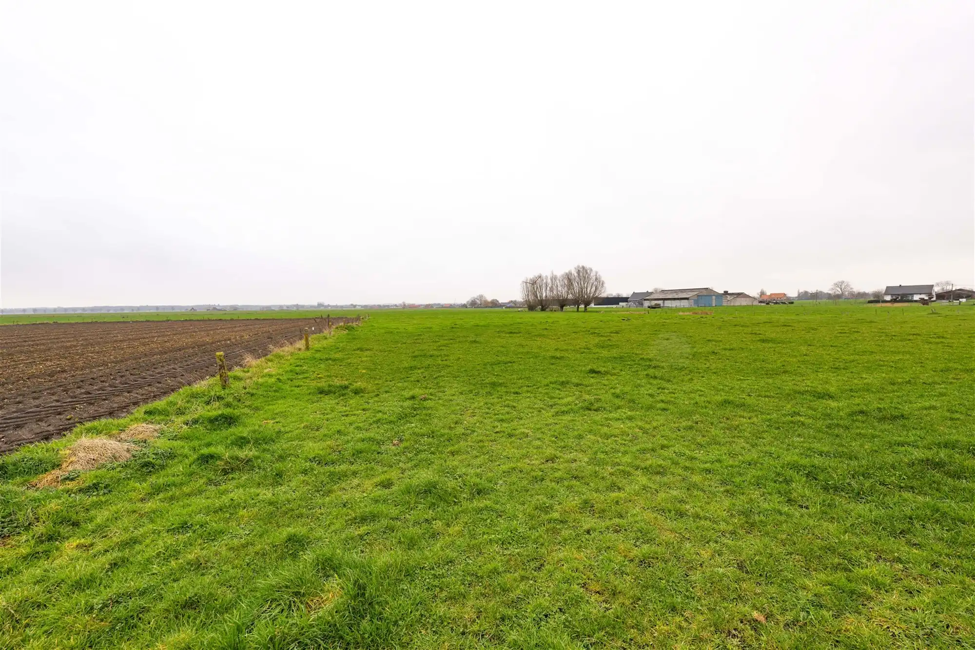 Vrijstaande woning met bijgebouwen op 2633 m² foto 3