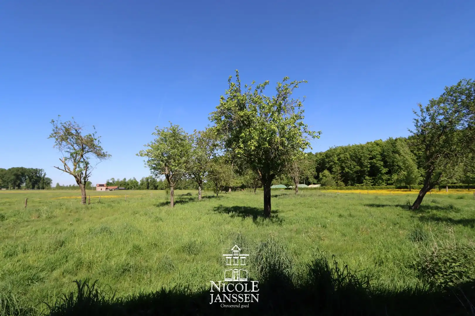 Woning met loods/stallen foto 15