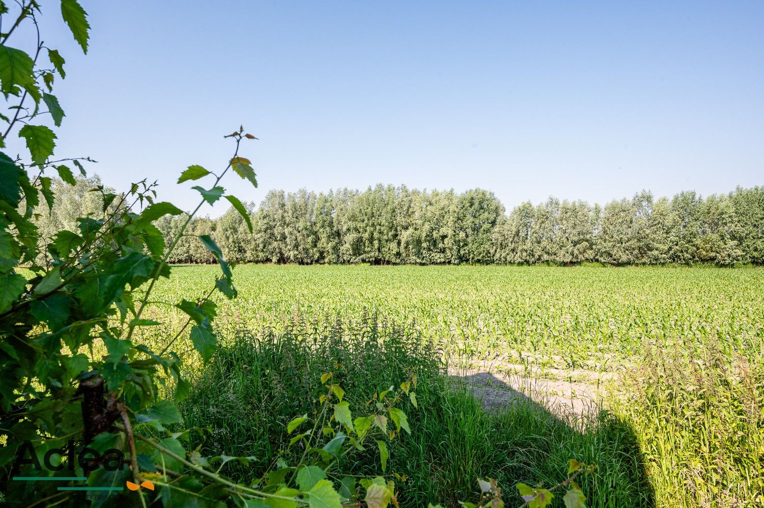 Knap gerenoveerde woning foto 13
