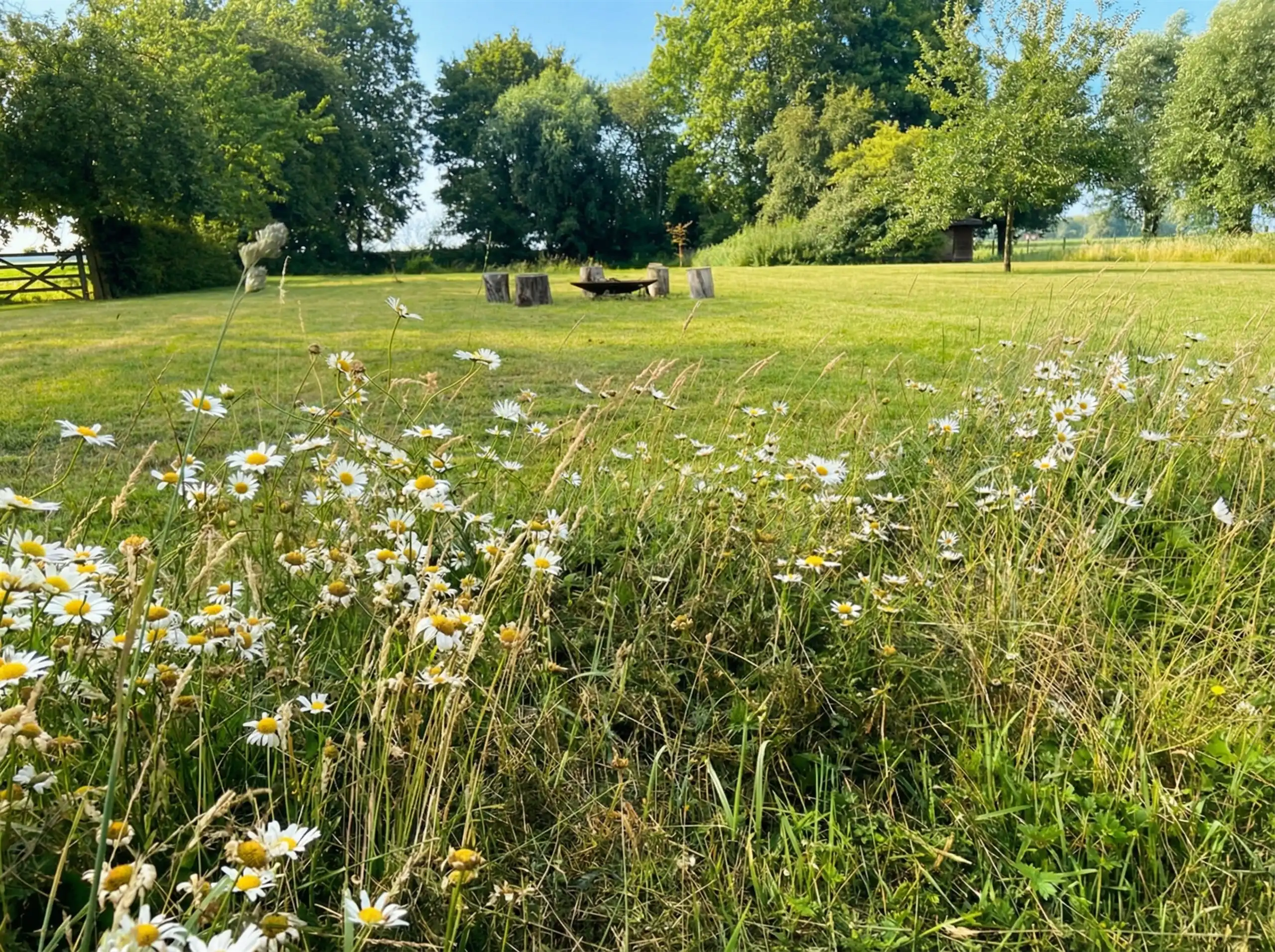 We konden niet langer zwijgen...Coming soon op 8.069 m² foto 3