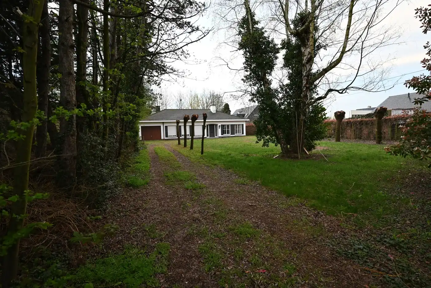 Ruime bouwgrond centum Ingelmunster  foto 4
