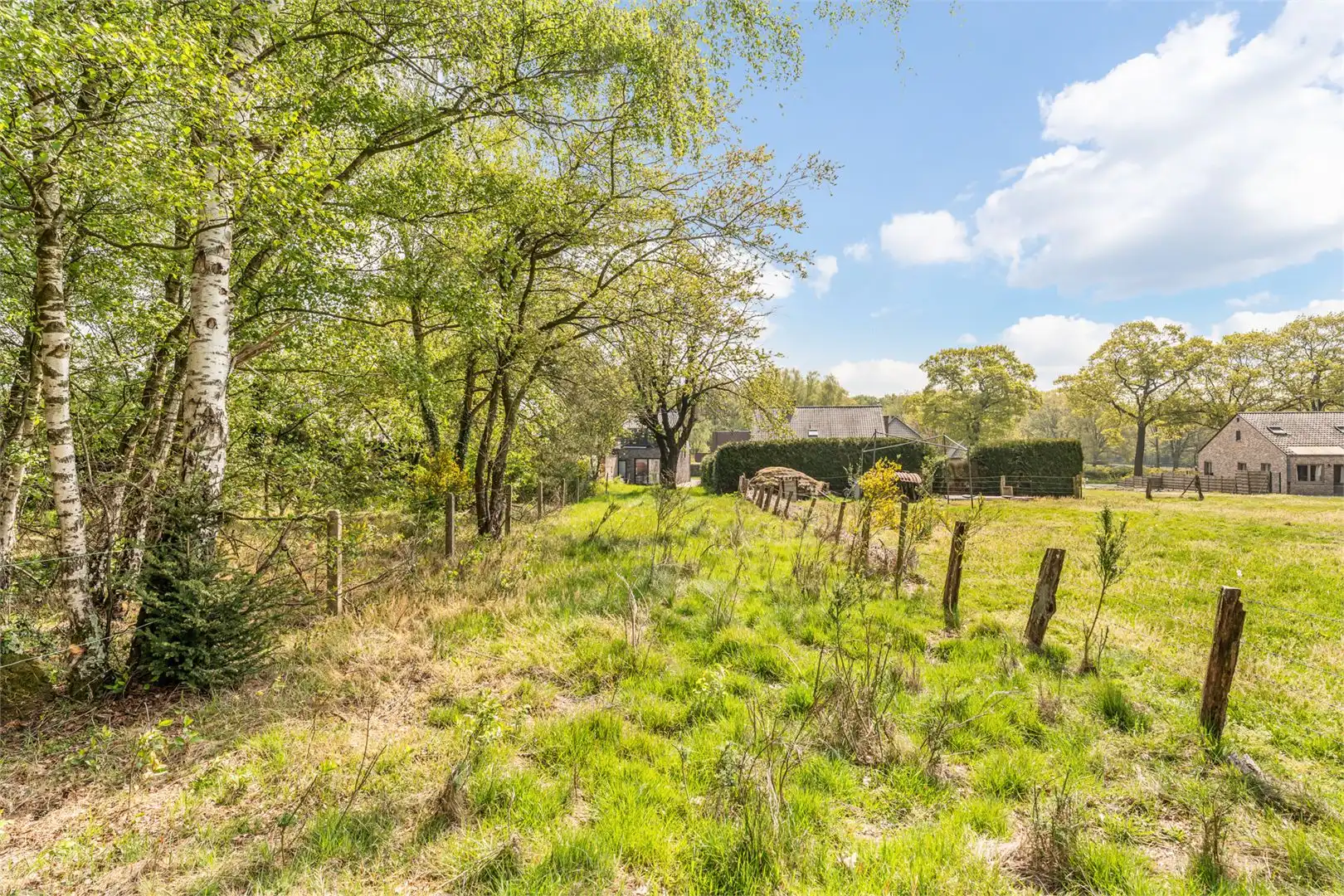 Huis te koop foto 18